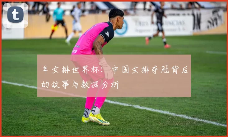 年女排世界杯：中国女排夺冠背后的故事与数据分析
