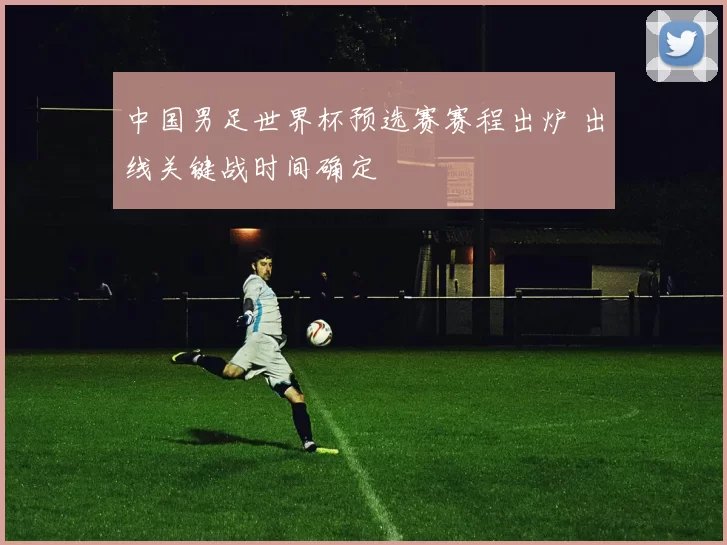 中国男足世界杯预选赛赛程出炉 出线关键战时间确定