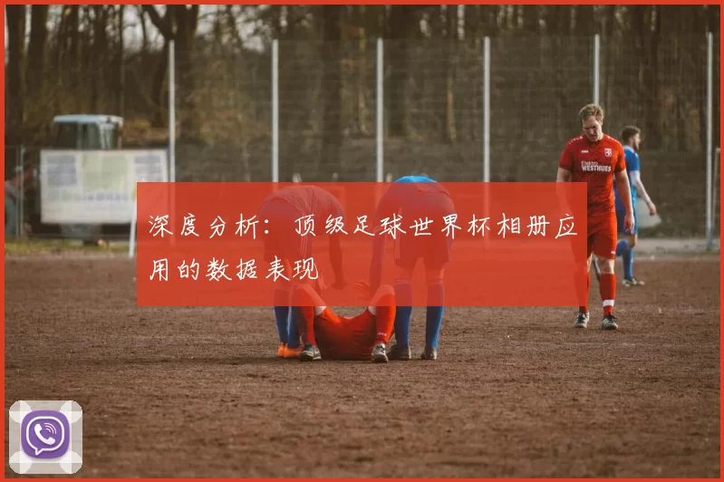 深度分析：顶级足球世界杯相册应用的数据表现