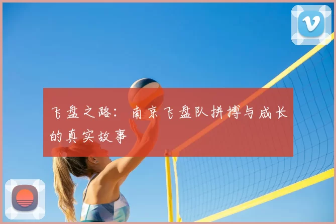 飞盘之路：南京飞盘队拼搏与成长的真实故事