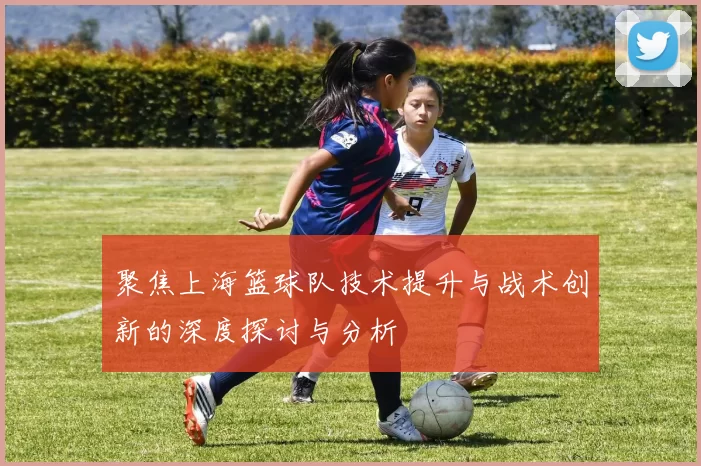 聚焦上海篮球队技术提升与战术创新的深度探讨与分析